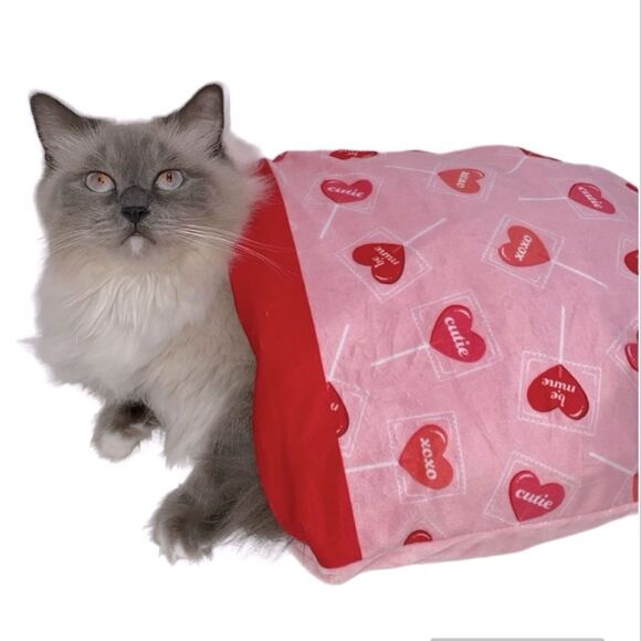 Kitty Crinkle Snuggle Play Sack Red & Pink With Heart Design - Picture 1 of 12
